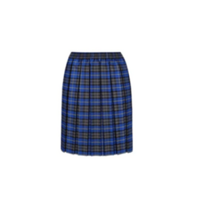 Blue Tartan Skirts